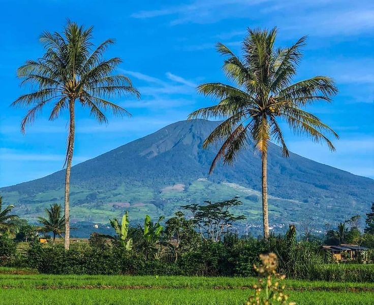 Panorama Gunung Dempo