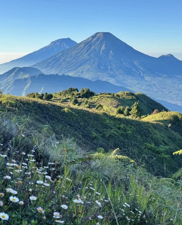 Open Trip Gunung Prau via Patak Banteng