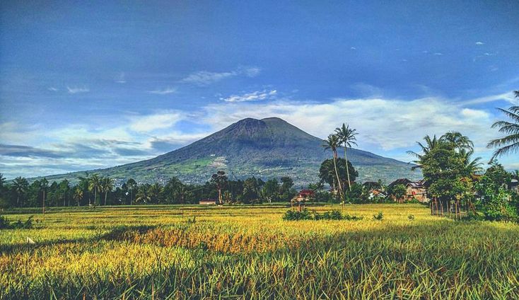 Open Trip Gunung Dempo via Kampung 4