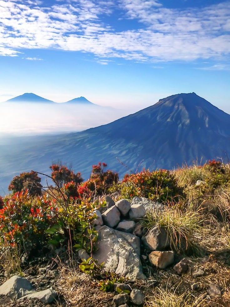 Open Trip Gunung Sindoro via Kledung