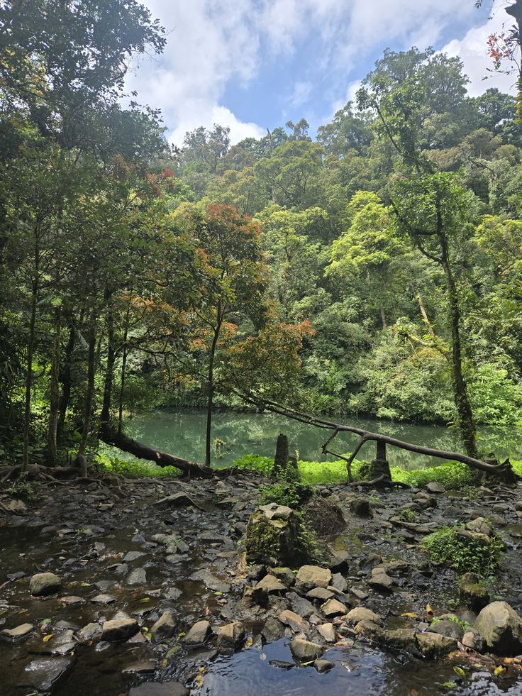 Open Trip Gunung Pangrango (Tektok) via Cibodas