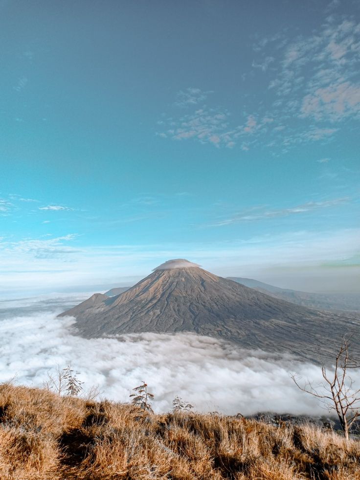 Kegiatan pendakian pada paket One Day Trip Gunung Sumbing via Batursari