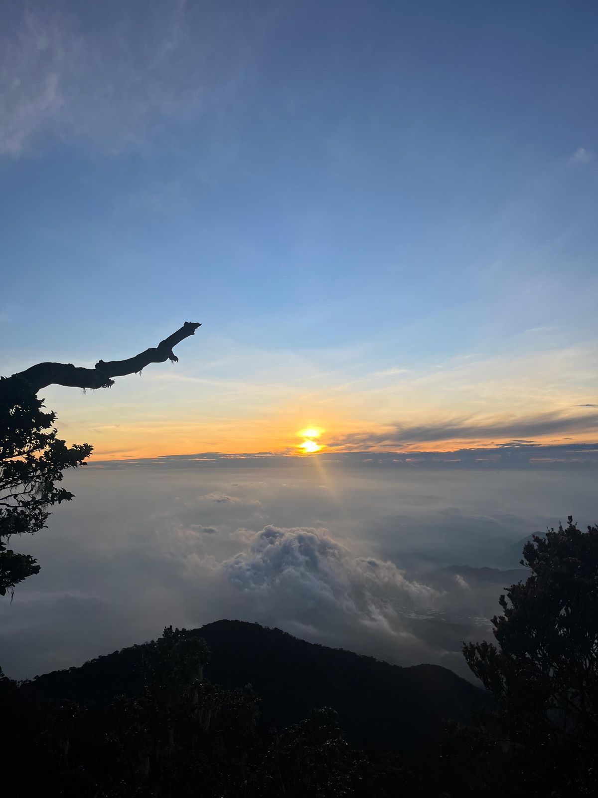 Open Trip Gunung Cikuray via Cinta Negara